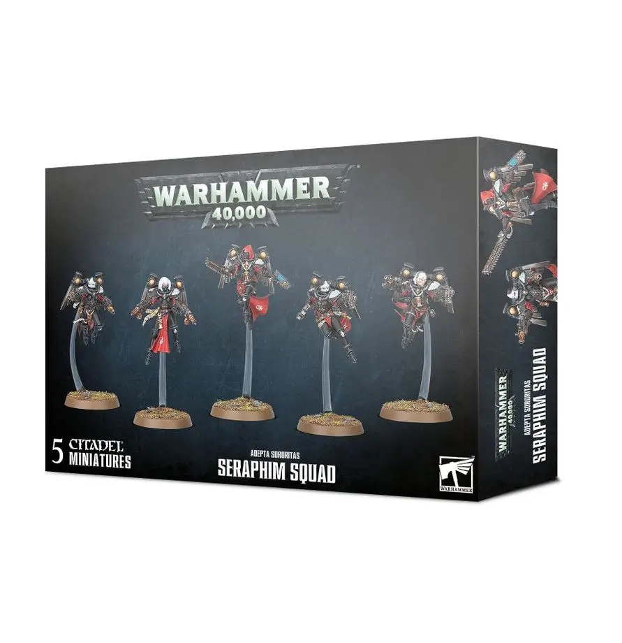 Box of Warhammer 40,000 Drukhari Scourge squad miniatures.