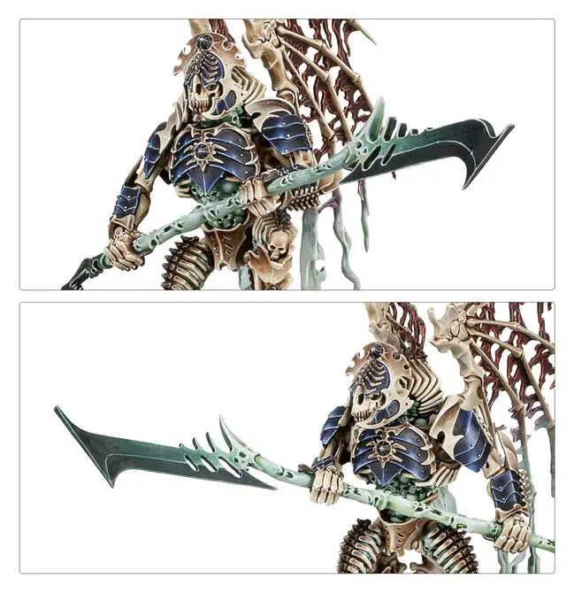 OSSIARCH BONEREAPERS:NULL MYRIAD PHALANX - Image 3